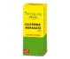 Glicerina boraxata 10% 25g - VITALIA