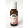 Glicerina boraxata nistatina anestezina 20g - INFOPHARM