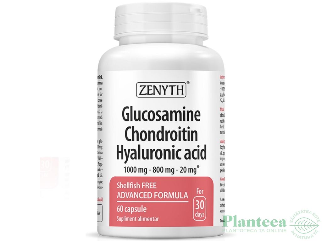 Glucosamine Chondroitin Hyaluronic Acid 60cps - ZENYTH