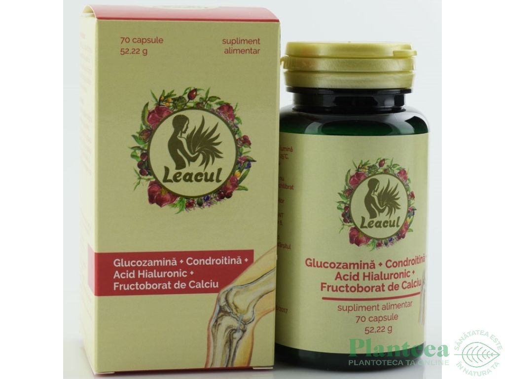 Health Shop - Medici Best Glucosamine, Condroitin & MSM, capsule | Română