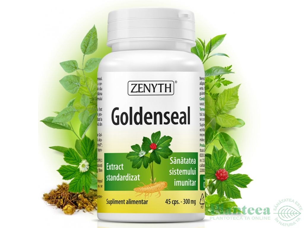 Goldenseal 300mg 45cps - ZENYTH