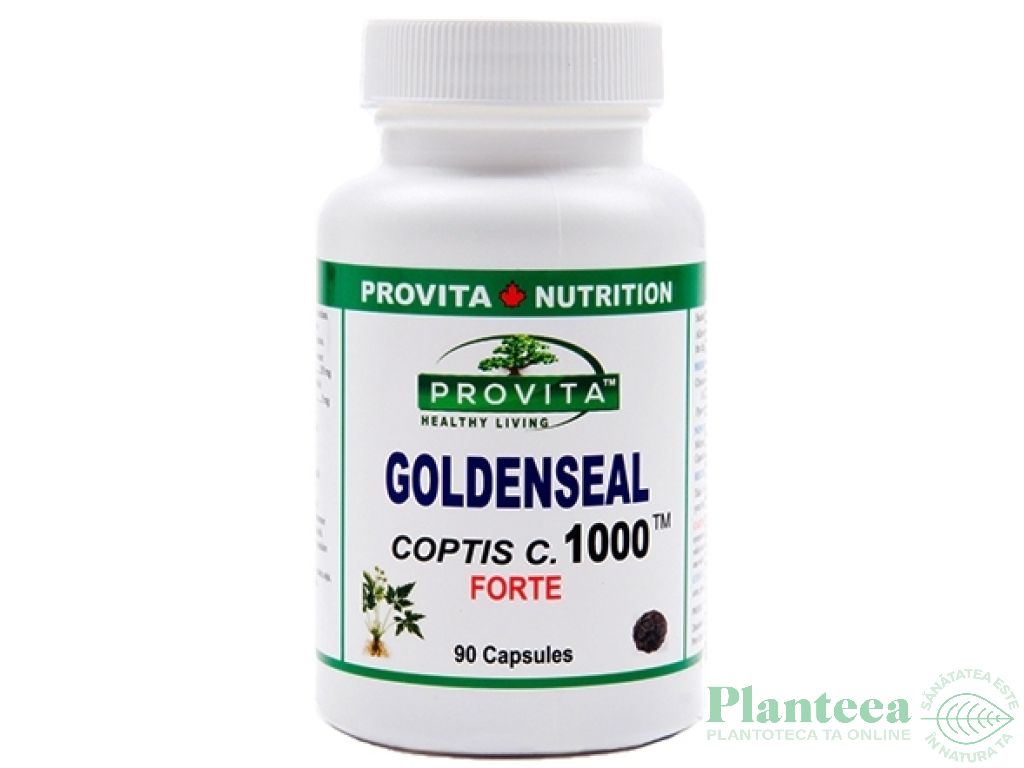 Goldenseal coptis forte 90cps - PROVITA NUTRITION