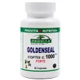 Goldenseal coptis forte 90cps - PROVITA NUTRITION