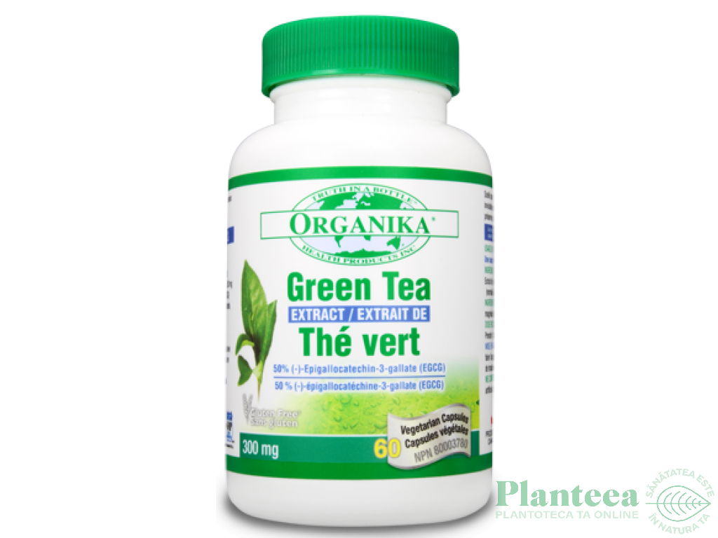 Ceai verde extract 300mg 60cps - ORGANIKA HEALTH