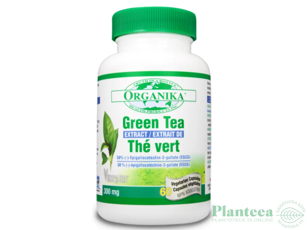 Ceai verde extract 300mg 60cps - ORGANIKA HEALTH