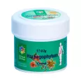 Crema harpagophytum 40g - SANTO RAPHAEL