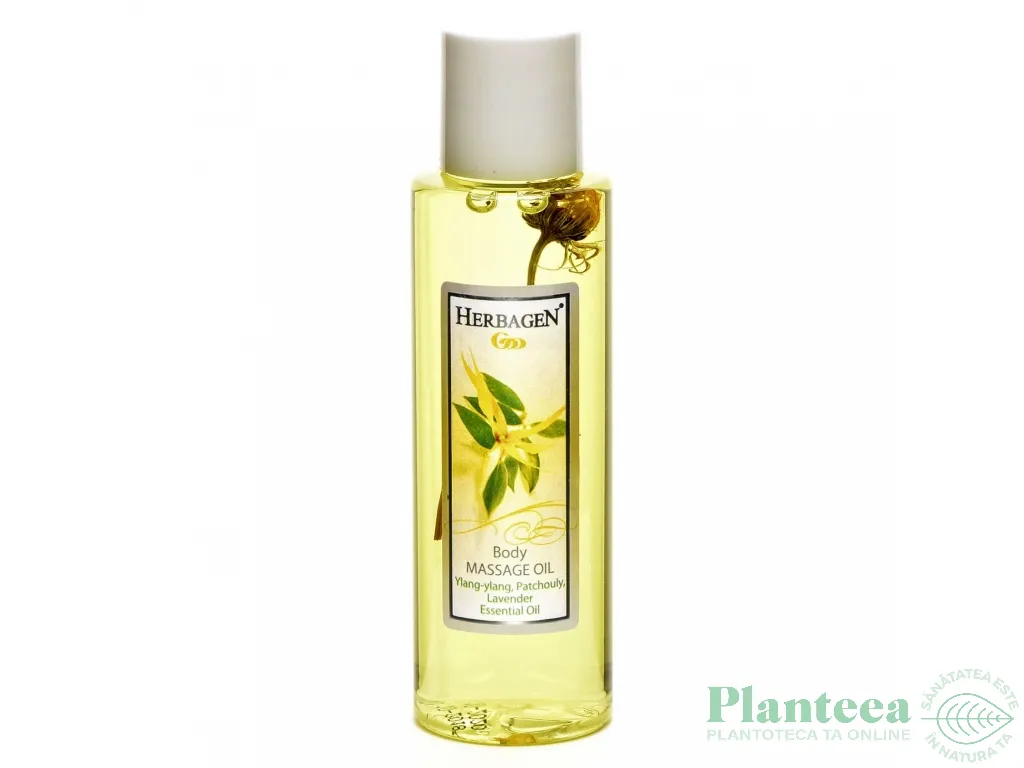 Pachet cadou ~Zen~ Basic - PLANTEEA