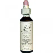 Picaturi florale holly nr15 20ml - BACH REMEDIES