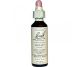 Picaturi florale holly nr15 20ml - BACH REMEDIES