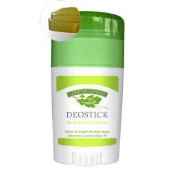 Deostick homme vaillant 50g - MANICOS