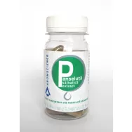 Panseluta salbatica extract 60cps - AROM SCIENCE