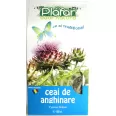 Ceai anghinare 50g - PLAFAR