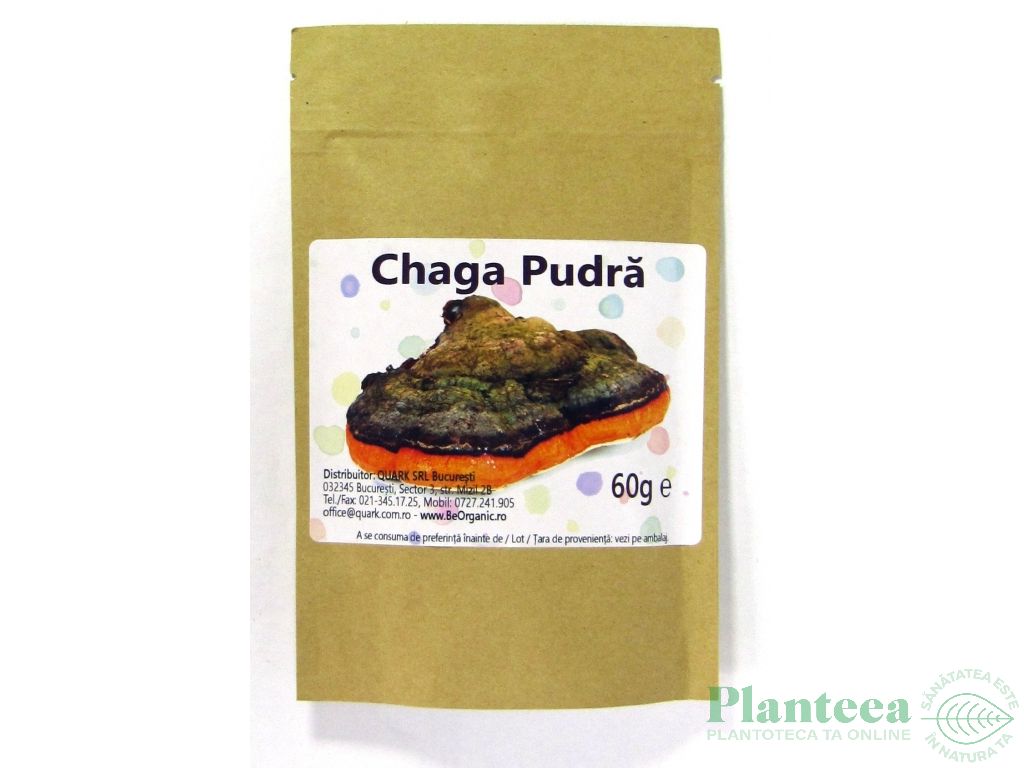 Pulbere chaga 60g - EVERTRUST