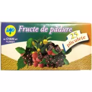 Ceai fructe padure 25dz - CYANI