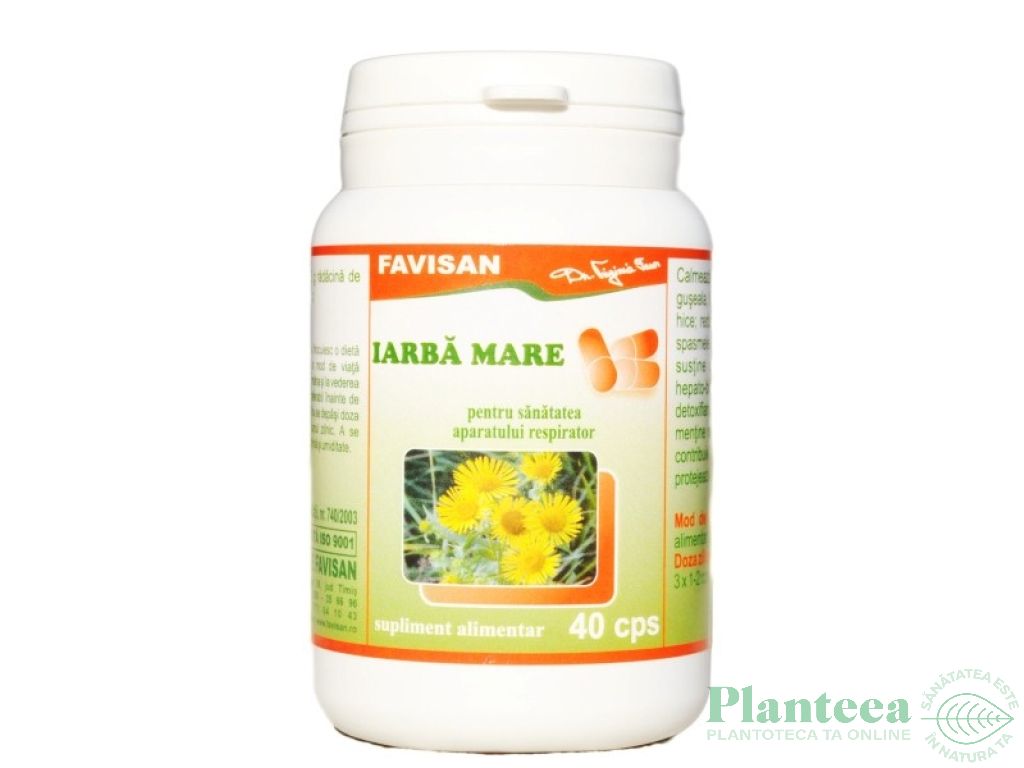 Iarba mare 40cps - FAVISAN