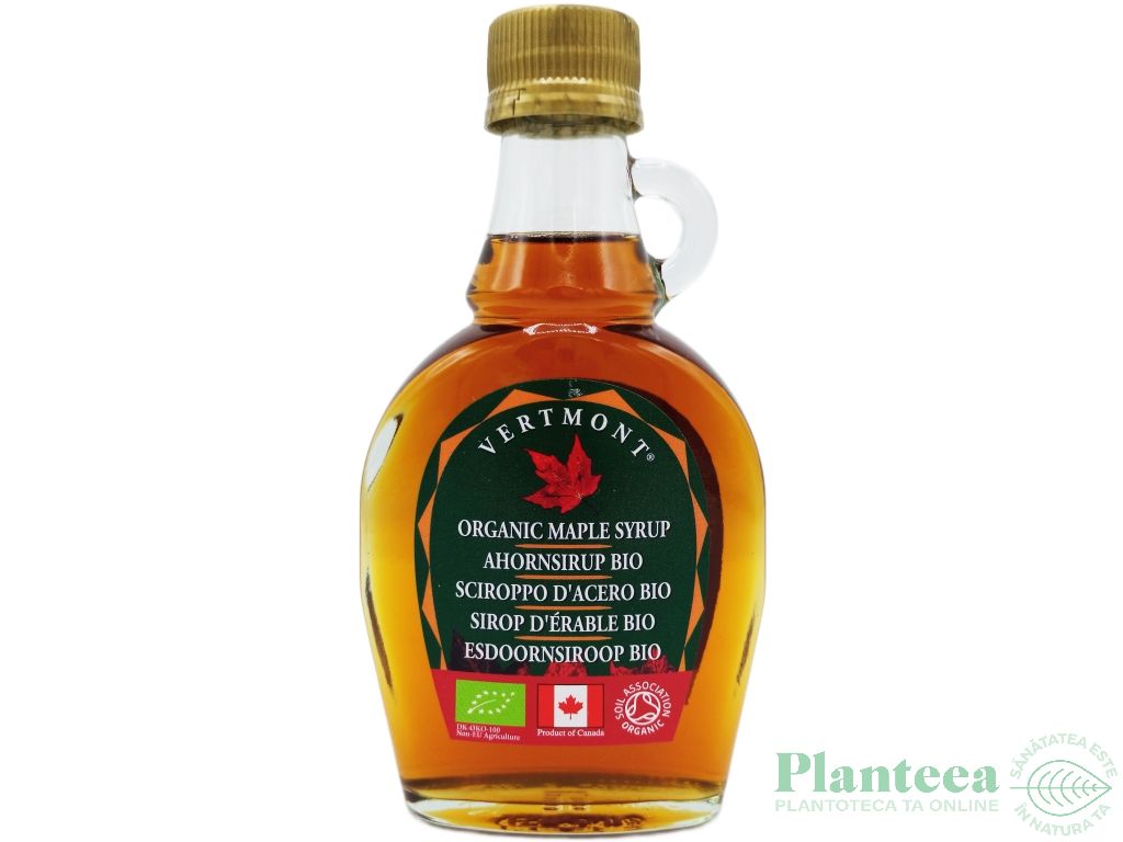 Indulcitor sirop artar bio 250g - VERTMONT