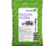 Pulbere inulina 100g - DRIED FRUITS
