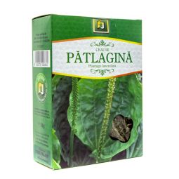 Ceai patlagina 50g - STEFMAR