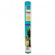 Betisoare parfumate pineapple 20b - ROSIMPEX