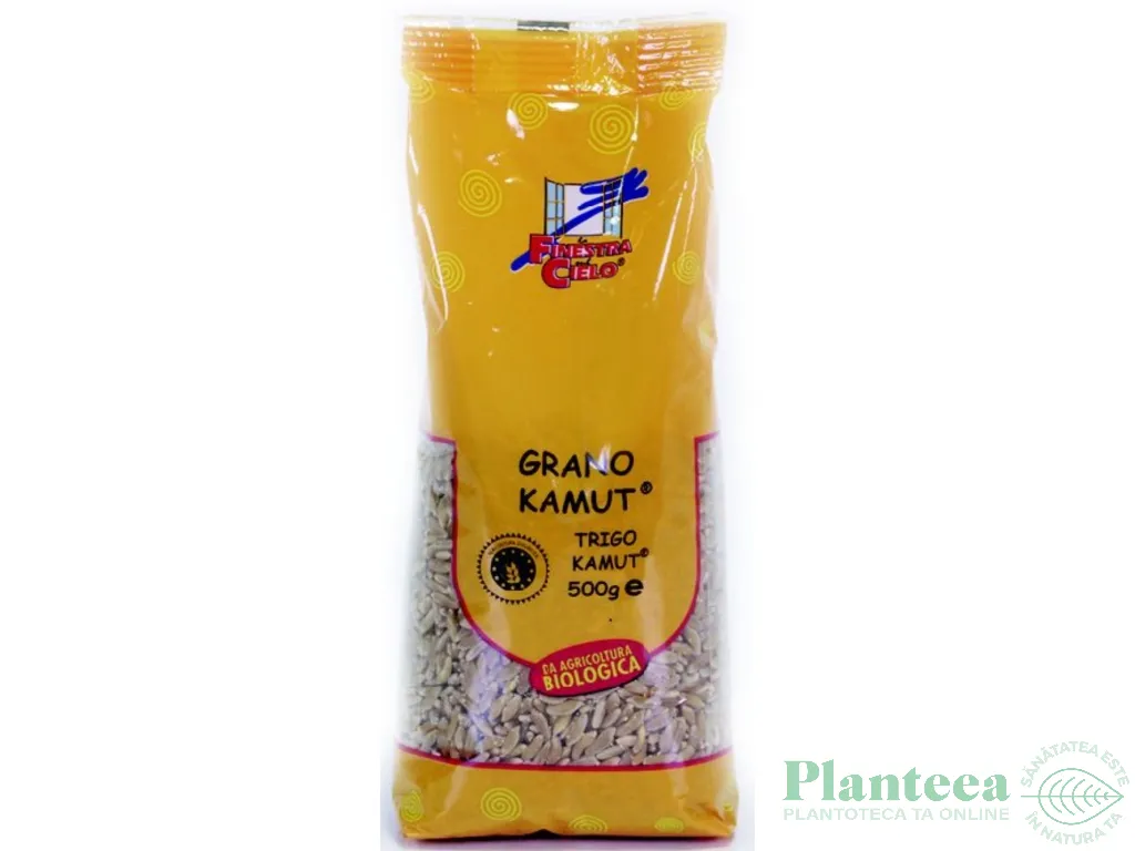 Kamut boabe eco 500g - LA FINESTRA SUL CIELO