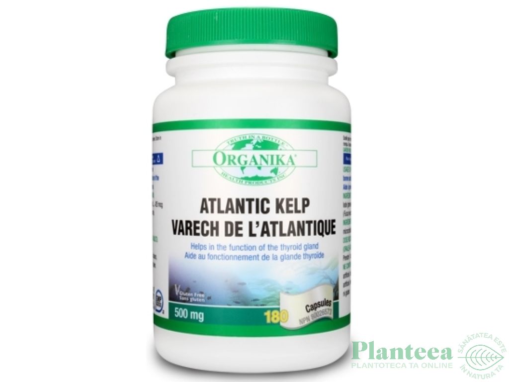 Kelp atlantic 500mg 90cps - ORGANIKA HEALTH