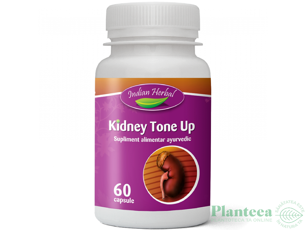 Kidney Tone Up 60cps - INDIAN HERBAL