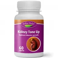 Kidney Tone Up 60cps - INDIAN HERBAL