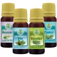 Kit 4 uleiuri esentiale Sauna & Wellness 4x10ml - HERBAL SANA