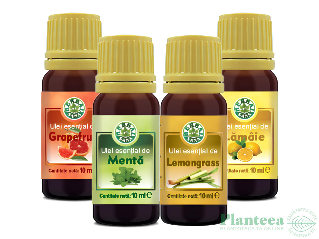 Kit 4 uleiuri esentiale Office Focus 4x10ml - HERBAL SANA