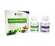 Kit HepatoSinergic 2x180cps - SYNERGY PLANT