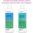 Kit Sampoane tratament dermatite [Rezorcina+Intretinere] DermoTis 2x120ml - TIS