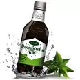 Bautura kombucha menta 500ml - KOMBUCHA LIFE