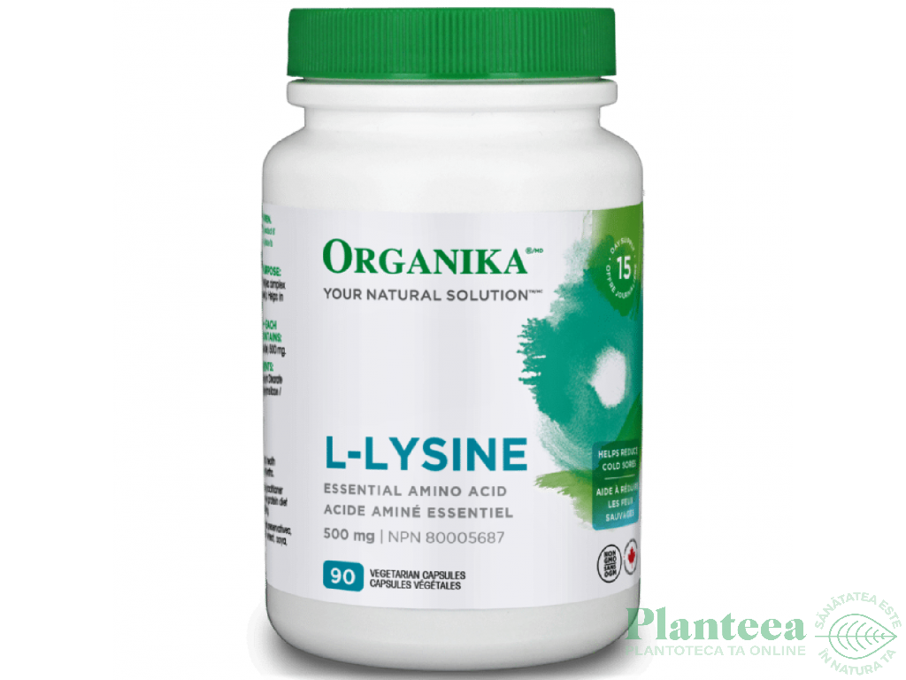 L~lysine 500mg 90cps - ORGANIKA HEALTH