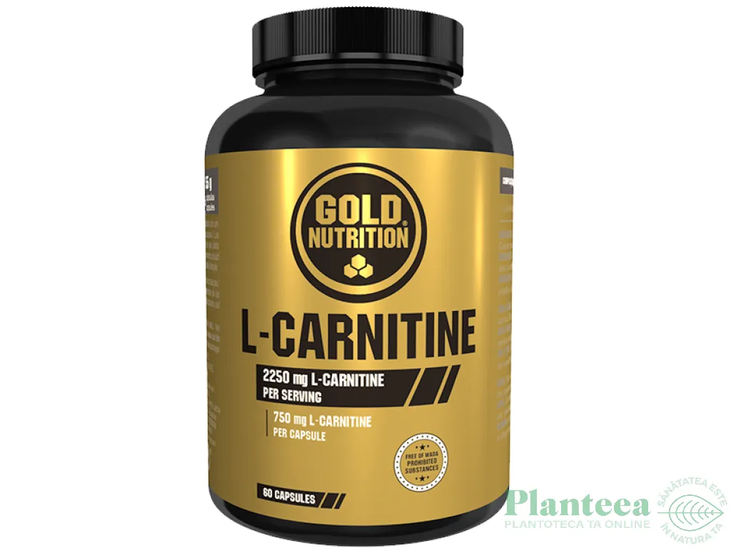 L carnitina 750mg 60cps - GOLD NUTRITION