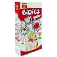 Inghetata fructe speciale eco 10x40ml - LA FINESTRA SUL CIELO