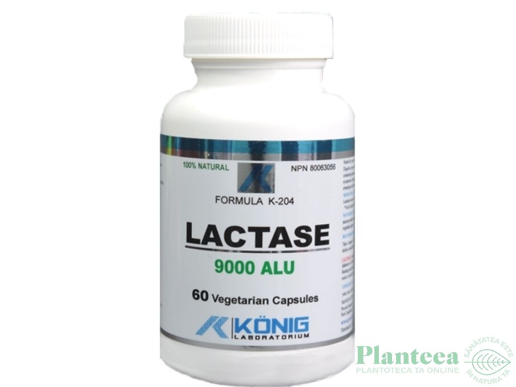 Lactase 60cps - KONIG