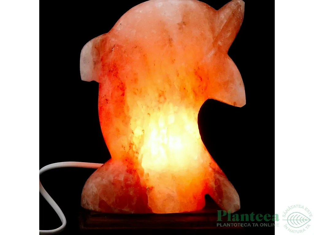Veioza sare himalaya Delfin suport lemn 4kg - MONTE SALT CRYSTAL