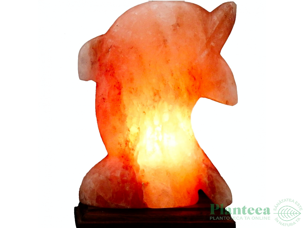 Veioza sare himalaya Delfin suport lemn 4kg - MONTE SALT CRYSTAL