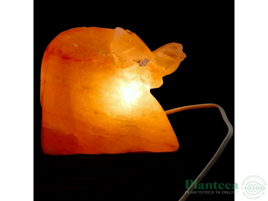 Veioza sare himalaya Elefant suport lemn 4kg - MONTE SALT CRYSTAL