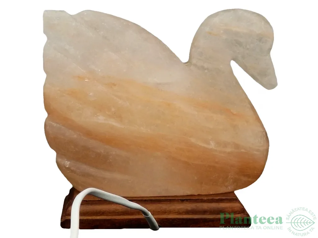 Veioza sare himalaya Lebada suport lemn 4kg - MONTE SALT CRYSTAL