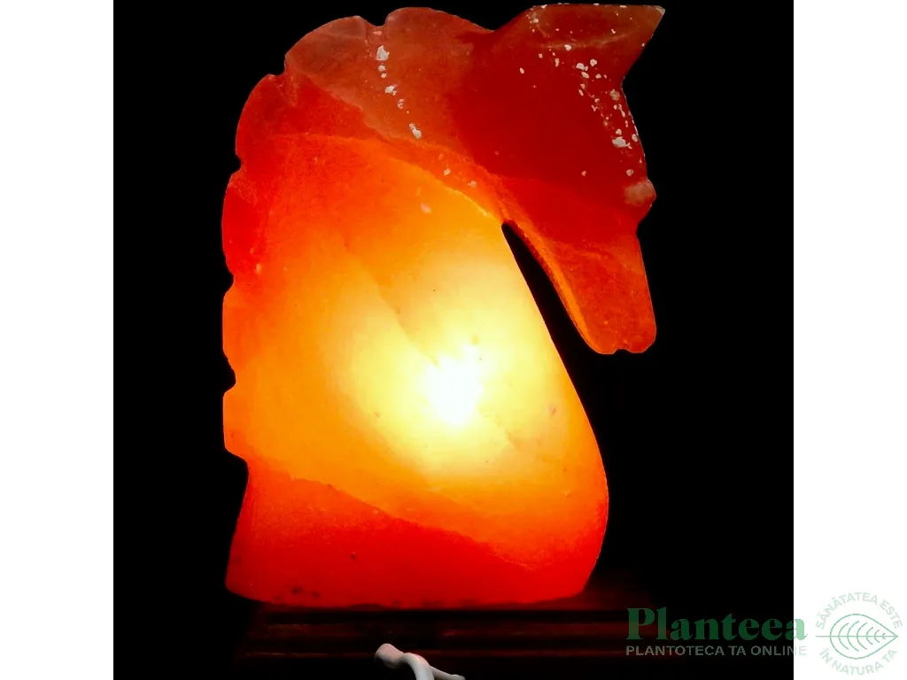 Veioza sare himalaya Cal suport lemn 4kg - MONTE SALT CRYSTAL