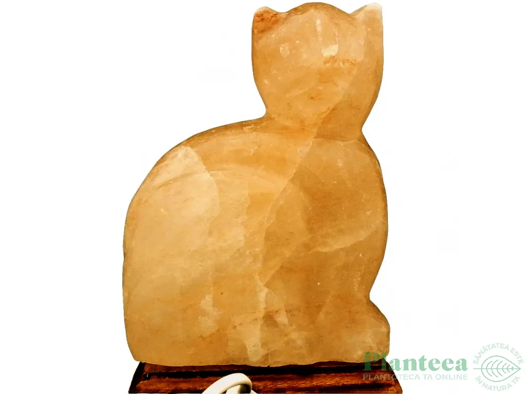Veioza sare himalaya Pisica suport lemn 4kg - MONTE SALT CRYSTAL