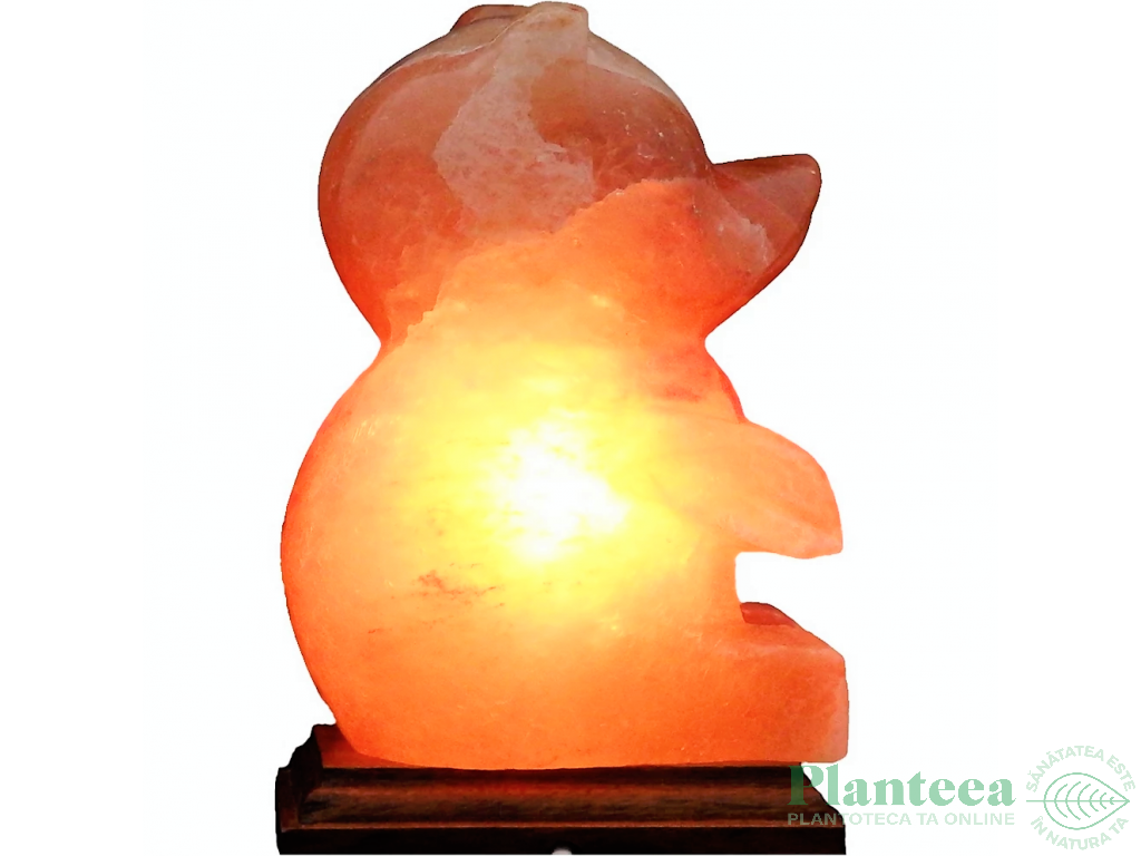 Veioza sare himalaya Urs suport lemn 4kg - MONTE SALT CRYSTAL