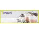 Ceai Latte negru pur ceylon Maple Nougat 2,5gx30dz - TIPSON