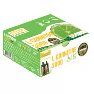 L carnitina 3000mg lamaie verde fiole 20x10ml - GOLD NUTRITION