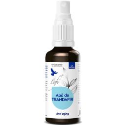 Apa florala trandafir 100ml - LIFE