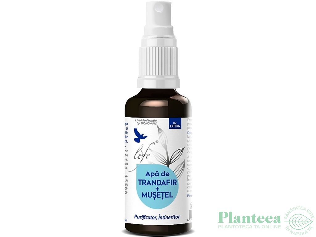Apa florala trandafir musetel 100ml - LIFE