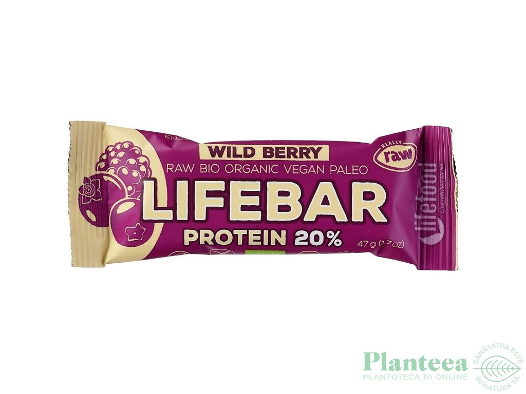 Baton proteic fructe padure raw bio 47g - LIFEBAR