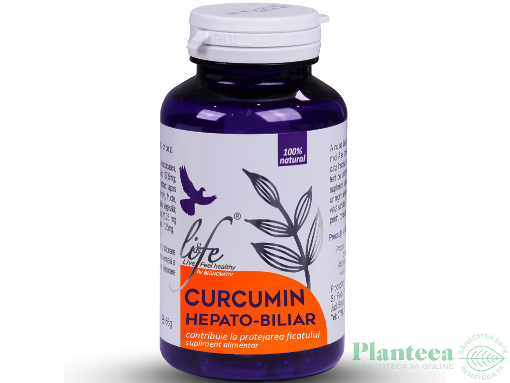 Curcumin Hepato Biliar 60cps - LIFE