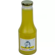 Limonada ananas miere 450ml - OHVAZ